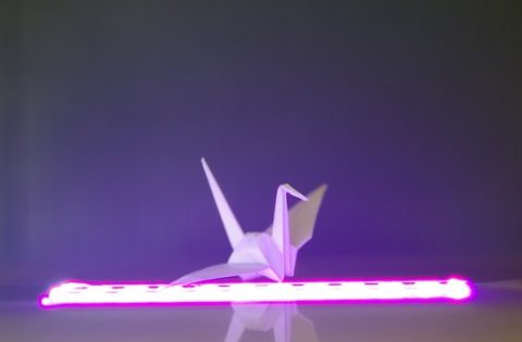 紙のプラズマ処理表面観察